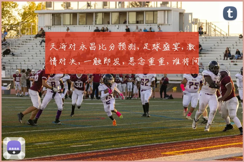 天海对永昌比分预测,足球盛宴,激情对决,一触即发,悬念重重,谁将问鼎