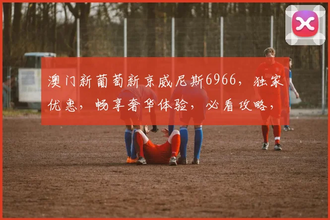 澳门新葡萄新京威尼斯6966，独家优惠，畅享奢华体验，必看攻略，错过等一年